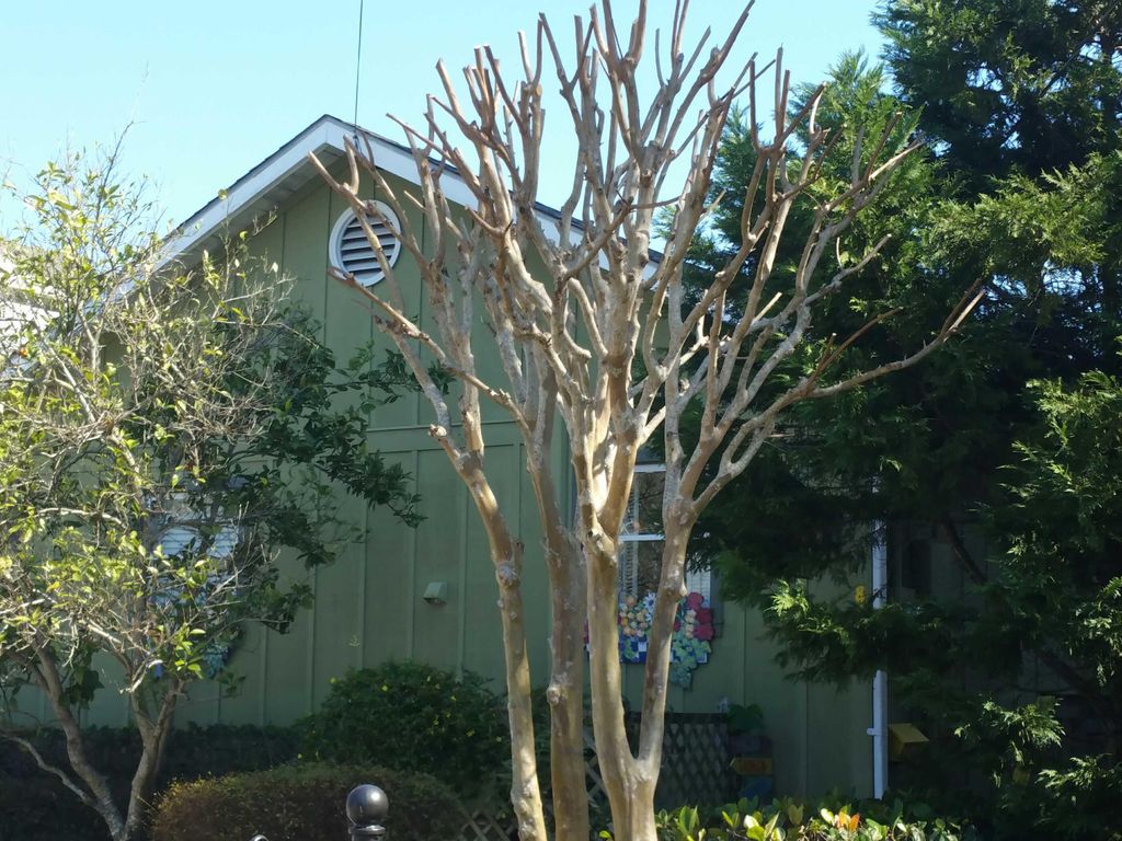 PARK WAY 772,400 2BDR 1BTH Saint Simons Island GA Pre