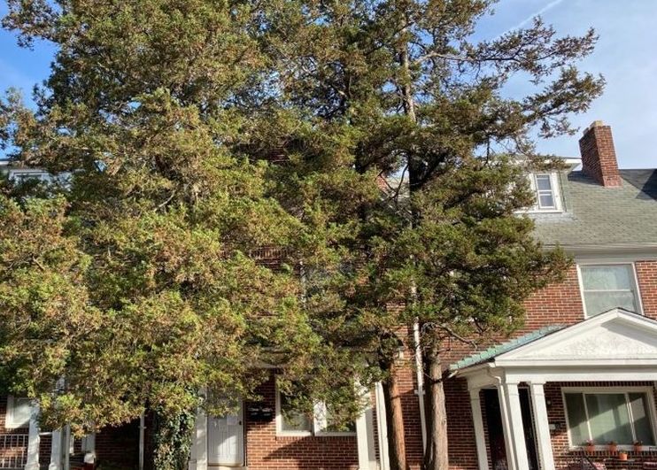 N WOODINGTON RD 88,600 3BDR 2BTH Single Family Baltimore MD