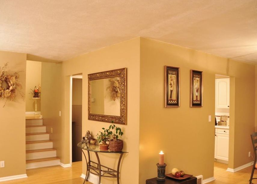 E MAYWOOD ST 186,600 3BDR 2BTH Single Family Morton IL Preforeclosure Listing 30338660